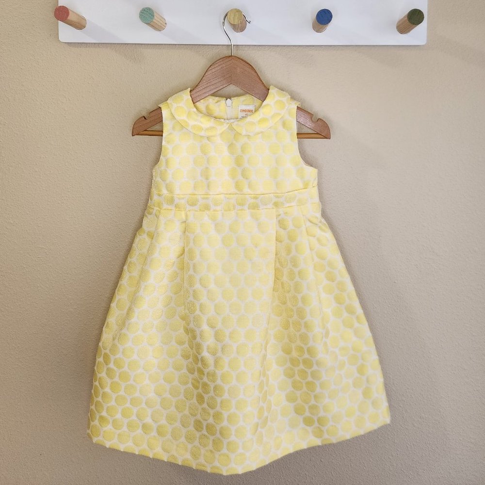 Jacquard Dot Dress - Gymboree Size 2T